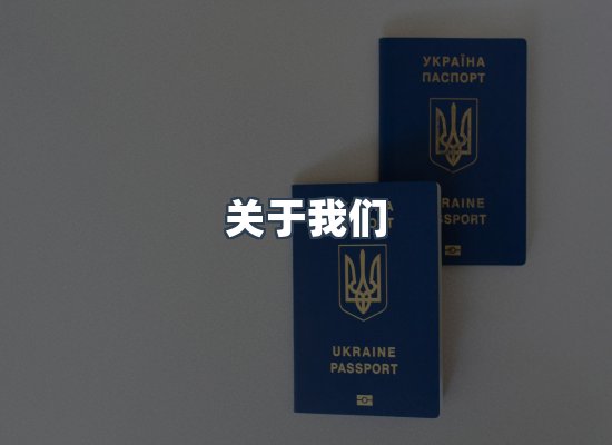 专业团队